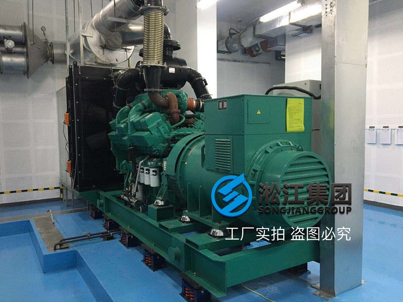 ZTF阻尼弹簧减振器大型柴油发电机安装实例 ZTF阻尼弹簧减振器大型柴油发电机安装实例