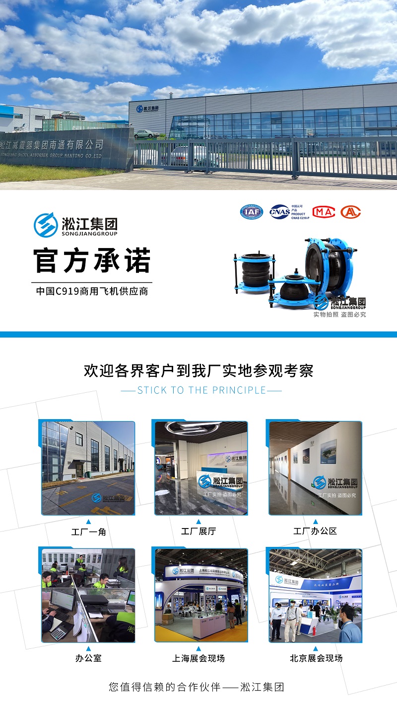 中国C919商用飞机供应商 君临国际 企业介绍